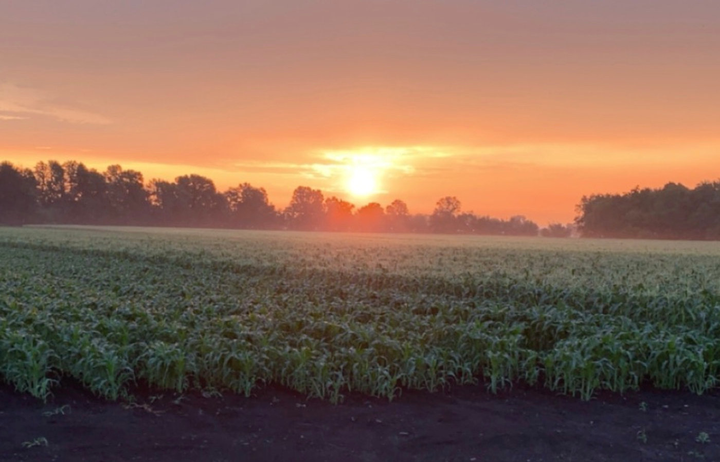 Morgiewicz family at the farm